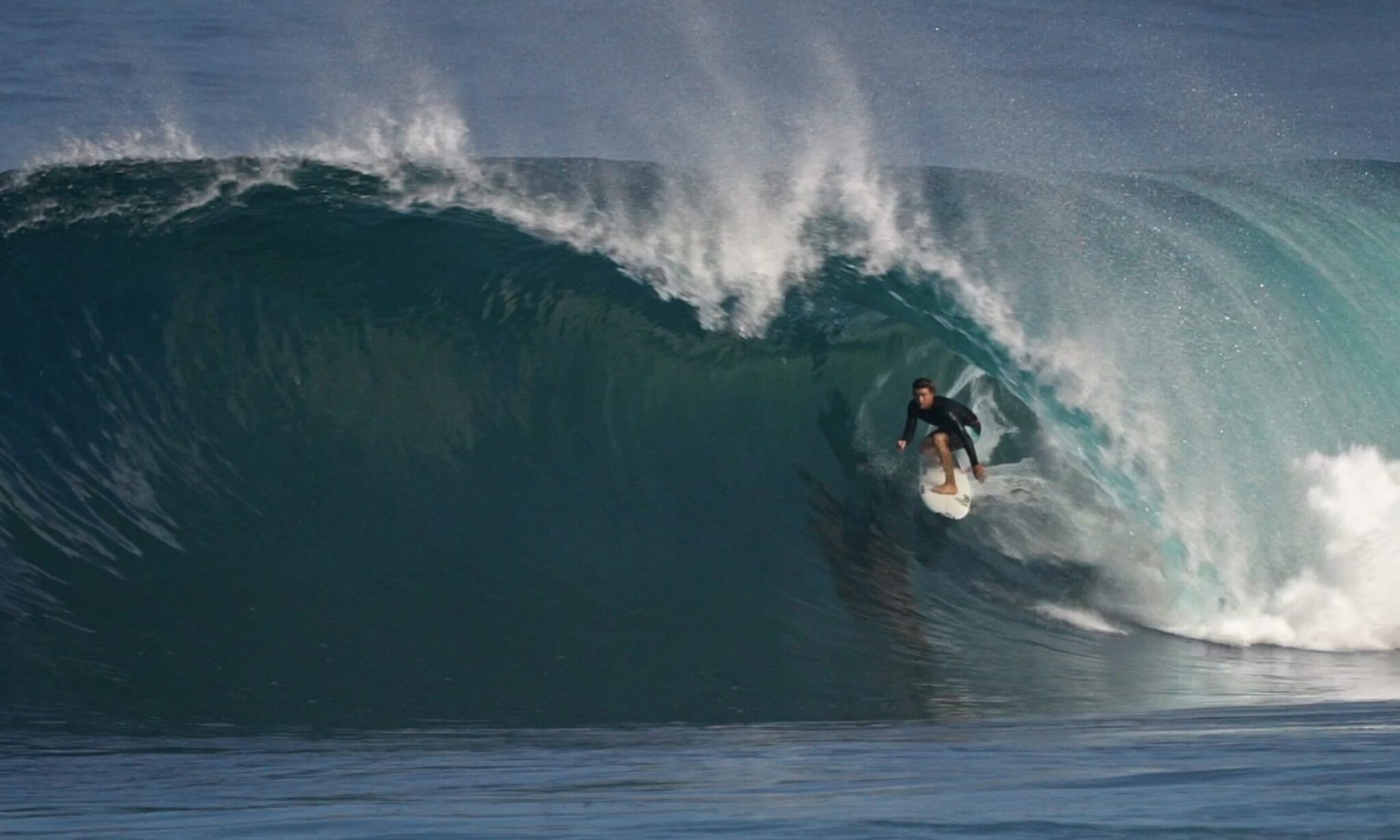 griffin-colapinto-dna-surf=margruesa